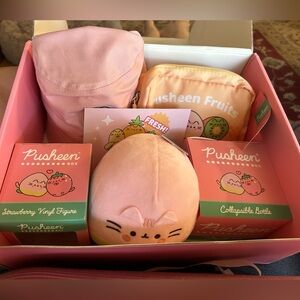 EXCLUSIVE Summer 2024 Pusheen Box - no shirt or fan! Comes with the cute box! :)